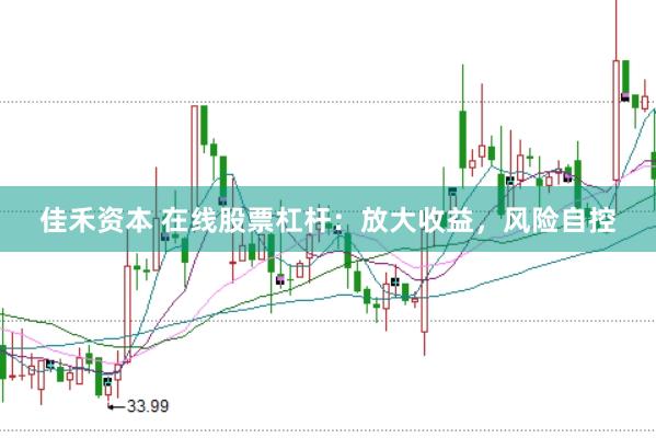 佳禾资本 在线股票杠杆：放大收益，风险自控