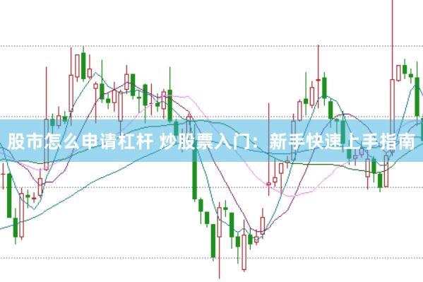 股市怎么申请杠杆 炒股票入门：新手快速上手指南
