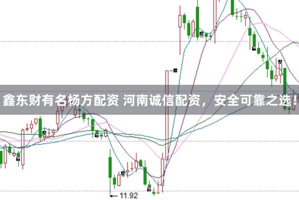 鑫东财有名杨方配资 河南诚信配资，安全可靠之选！