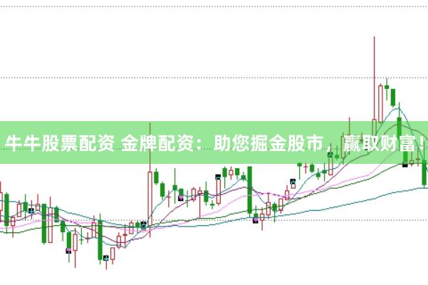 牛牛股票配资 金牌配资：助您掘金股市，赢取财富！