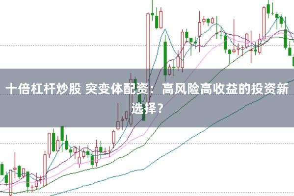 十倍杠杆炒股 突变体配资：高风险高收益的投资新选择？
