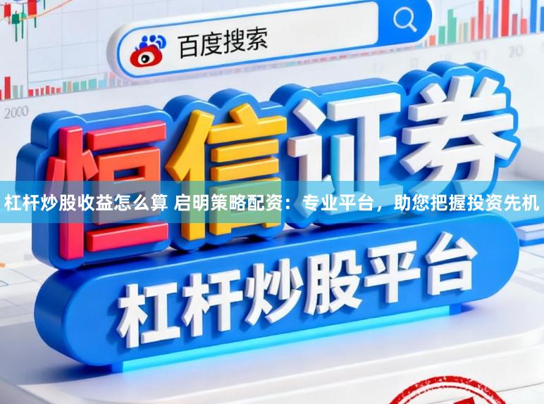 杠杆炒股收益怎么算 启明策略配资：专业平台，助您把握投资先机