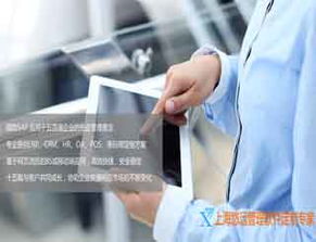 软件定制专家 ERP软件定制 企业管理软件定制 上海悠远