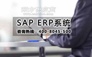 通sap软件代理商 化sap erp软件开发公司 选择达策图片